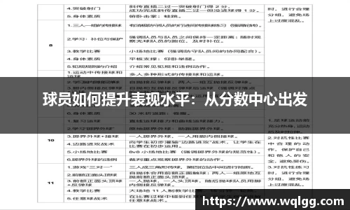 完美体育365平台官网